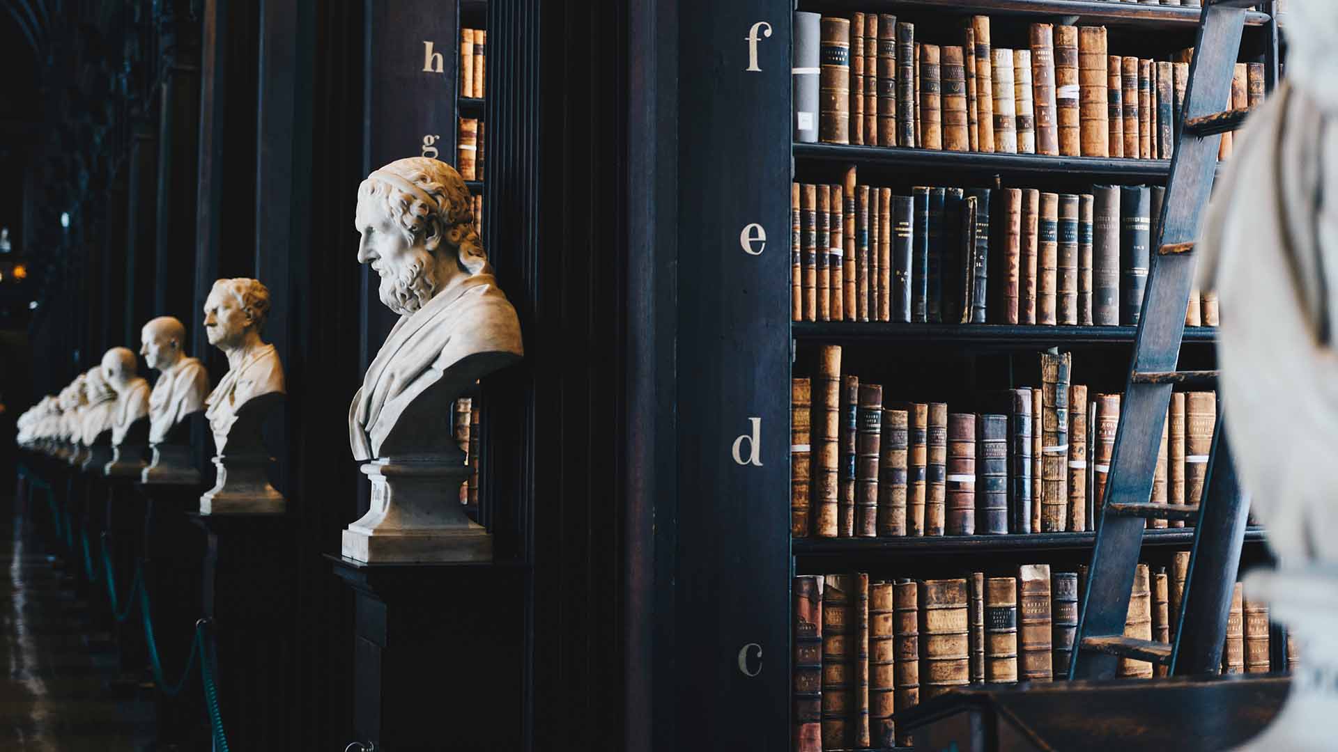 انواع الجرائم الجنائية|